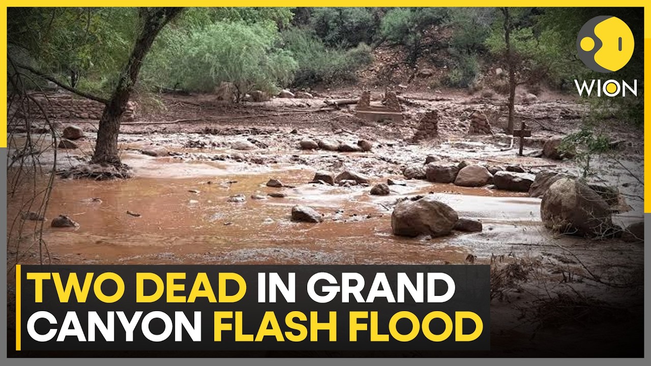Grand Canyon Flash Flood: Heavy Rain Delays Search And Rescue Operations | WION News