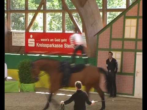 CVI** Krumke 2010 - Patrick Loser (Kür)