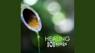 Morning Sun Salutations