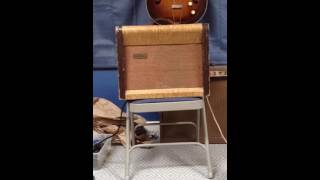 Video thumbnail for silvertone 1333 by Bad Mamajama