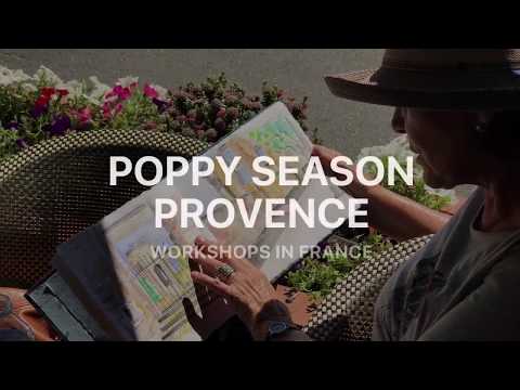 Painting Poppy Season in Provence