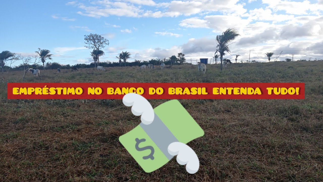 EMPRÉSTIMO NO *BANCO DO BRASIL* PARA COMPRAR GADO