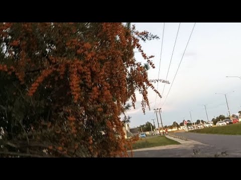 Recorrido 🚶por Pinamar, Uruguay 🇺🇾