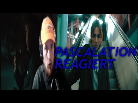 ZEMINE & ASCHE STERNSCHNUPPENREGEN REACTION STARKE MESSAGE