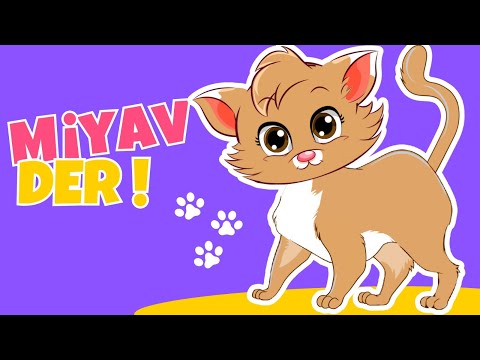 🐱 Kedicim Miyav Miyav Der! | 45 Dakika | Eğlenceli ve Eğitici Çocuk Şarkıları