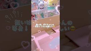 STPRからお荷物が届いた！#アンプタックカラーズ #グッズ #ぷりっつ #開封動画 #推し活
