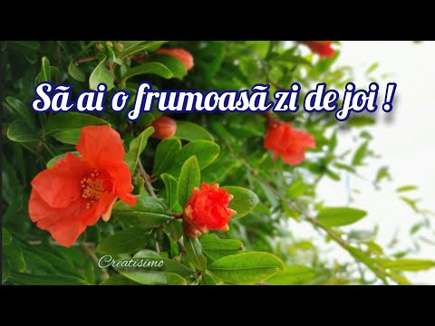 Buna dimineata ☀️O zi de joi minunata !🌺  Mesaje frumoase si urari din suflet pentru tine