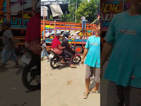 PDK AUDIO is shaking. #soundhoreg #pdkaudio #soundsystem #karnavalkenanti