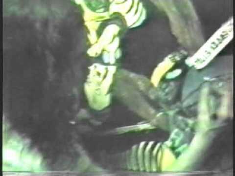 Thumbnail for Backstage at 688 after Butthole Surfers by Butthole Surfers