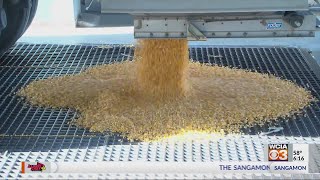 Going behind the scenes: creating the crunch behind Frito-Lay chips with corn from Central Illinois