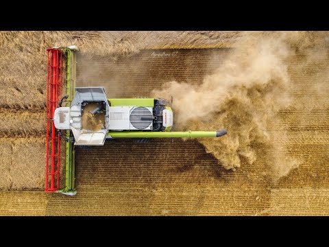 XXL Harvest 2021 - AgroVation | NEW Claas Lexion 8700 & 8900 Terra Trac