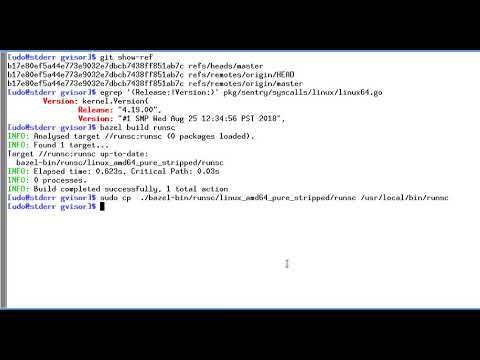 gvisor fun with uname syscall