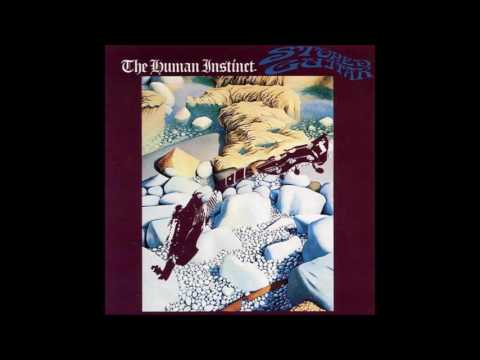 Human Instinct - Railway and Gun