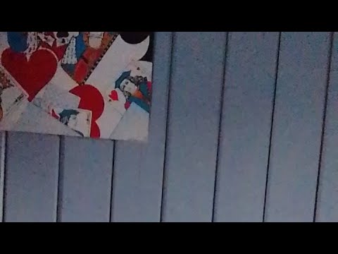 CC EXPRESS WELCOME BIENVENUE WILLKOMMEN Sophie Latour auteur de 60 chansons et de shows