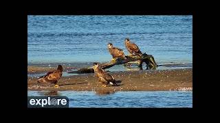 Wisconsin · Lake · Mississippi River live stream