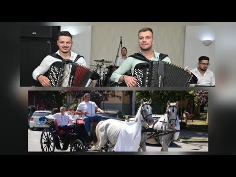 Ork. Nikole Lukica ``Ajkule`` - Zlatna svadba  Nade i Sinise Krokija -Svilajnac 2025