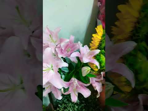 Nice flowers dubai ajman hatta #masfoot #muzira #imrankhan