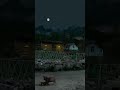 ️barsaat Ke Din Aaye Shorts Status New Hindi Song Wathspp ️Status Viralshorts Naturebeauty