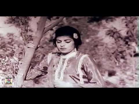 Mahi Ve Sanu Pul Na Javi | Noor Jehan | Lollywood Classic Hit | Film Malangi | Pakistani Film Song