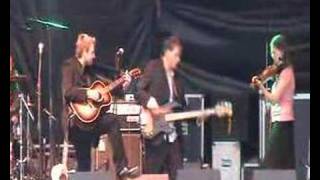 The Peter Donegan Band - Muleskinner Blues