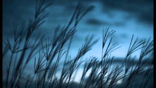 Radiohead - Where Bluebirds Fly (Reverse)