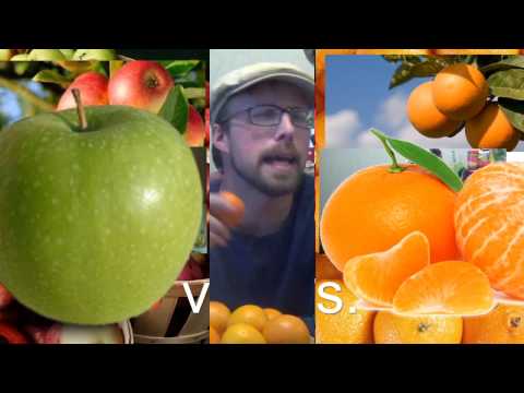 Apples vs. Oranges Review: Granny Smith vs. Clementine