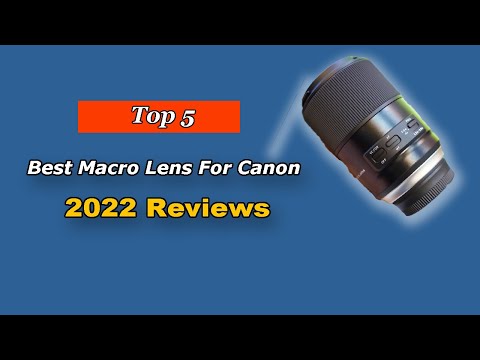Top 5 Best Macro Lens For Canon in 2025