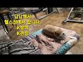 답답해서 헬스장에서 자려구요..( 실내체육시설 K방역 )