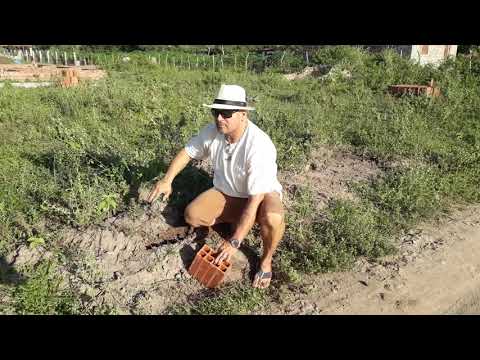 Feitiço na magia da bruxa Évora e São Cipriano.
