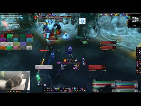 Pixel Frenzy vs Mythic Fetid Devourer - Shadow Priest