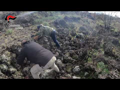 Armi illegali e droga occultati: il ritrovamento dei carabinieri di Randazzo