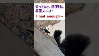【神回】知ってると超便利！I had enough〜の正しい意味と使い方