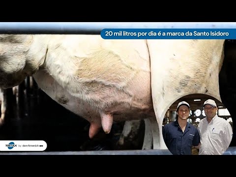 Os 3 pilares que transformaram a fazenda da família Stedile | Noticiário Tortuga