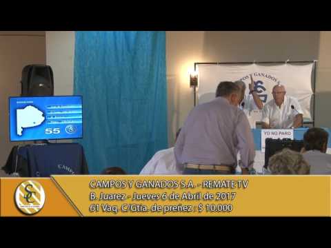 06-04-17 Venta de Vientres - Campos y Ganados S.A.- Rte. TV - B.