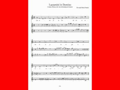 Video thumbnail for Laetamini in Domino