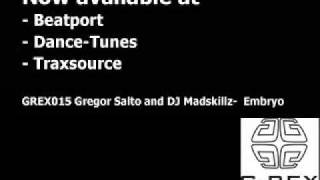 Gregor Salto and Dj Madskillz - Embryo