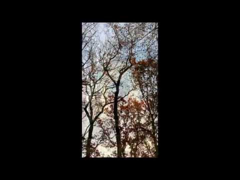 Pelerinaj la  Basilica Maria Radna | Pelerinaje Gabriela