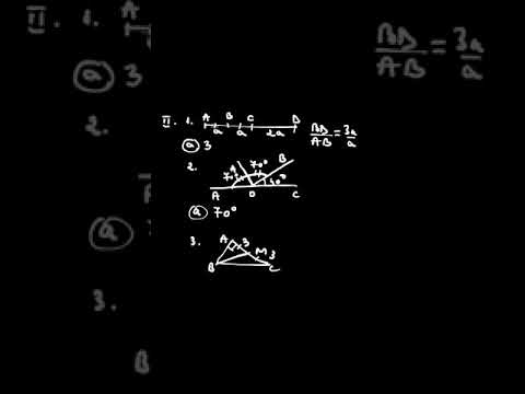 Subiecte Matematica Evaluarea Natională 2021. Profesoara Florentina Pavăl rezolva Subiectul II