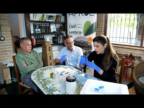 Video Thumbnail: The Food Detectives: ein tragbares DNA-Testkit, um gefälschtes Olivenöl zu entlarven