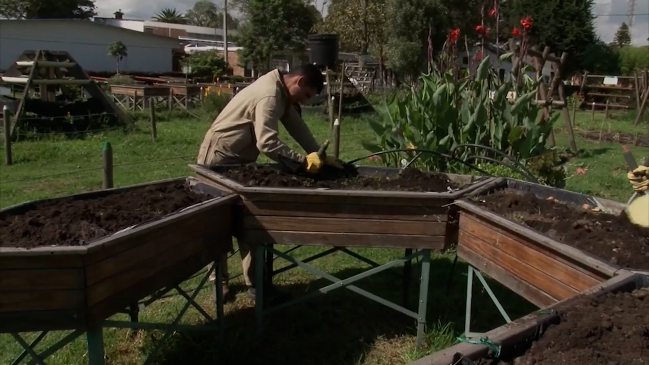 COMPOST AGROSAVIA  CAP 2