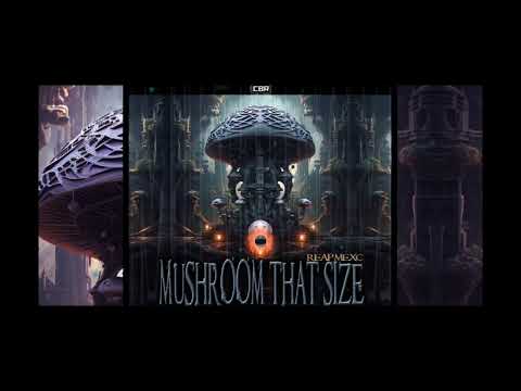 Reap Mexc - Mushroom That Size