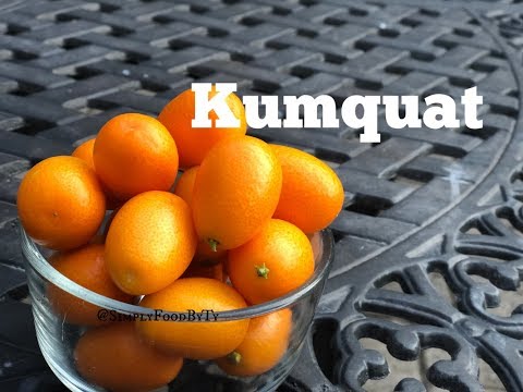 download lagu mp3 mp4 Kumquat Taste, download lagu Kumquat Taste gratis, unduh video klip Kumquat Taste