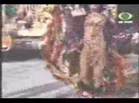 SUZANE CARVALHO DESFILA PELA BEIJA-FLOR DE NILÓPOLIS - 2005