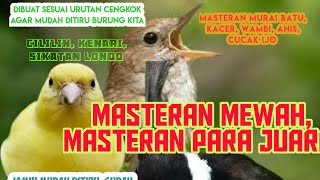Download lagu Masteran muraibatu MASTERAN MATERI JUARA Sikatan l... mp3