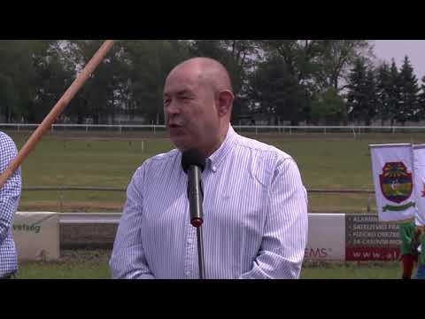 VII. Vajdasági Vágta összefoglalója