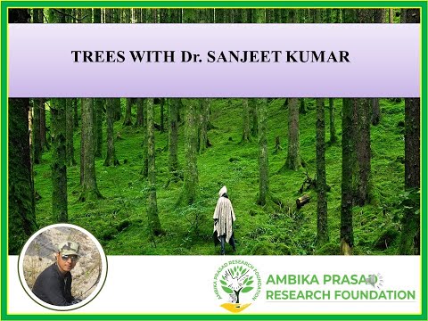 TREES WITH Dr  SANJEET KUMAR; #trees #forest #forestry #conservation #conservationawareness