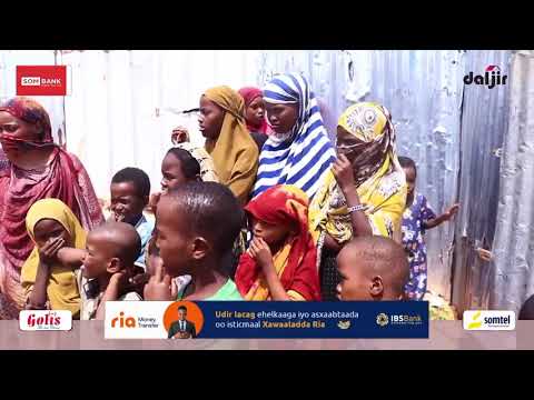 MUQDISHO | Wiil iyo Sodogiis oo is dhaawacay