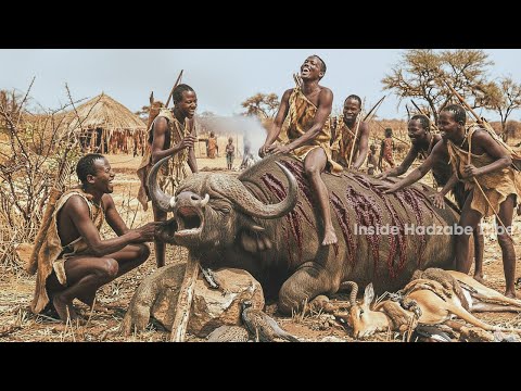 When African Hadzabe Hunters Face Wild Buffalo Dangerous Hunt | Hadzabe Tribe Hunting
