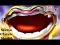 TAS Super Smash Bros Brawl Wario Classic Mode No Damage Intense Difficulty