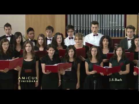 AMiCUS Timisoara - Domnul mi-este bucurie